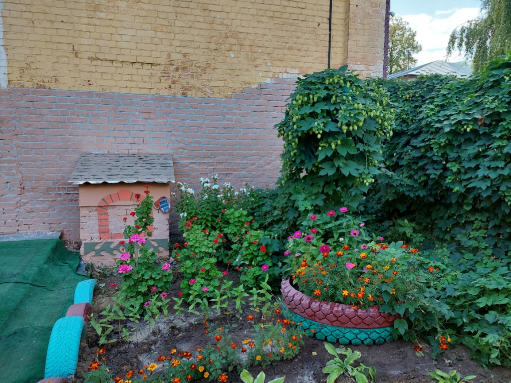 20230913_125102.jpg